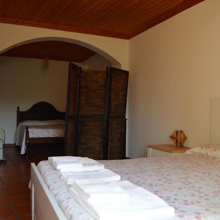Appartement Casa Do Tejo à Constância Extérieur photo