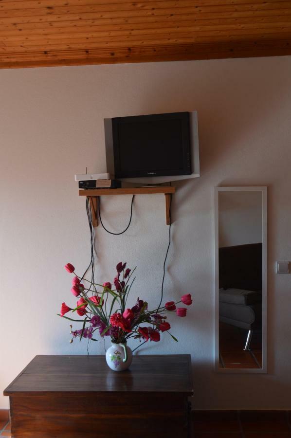 Appartement Casa Do Tejo à Constância Extérieur photo